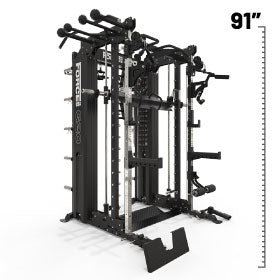 Best all in one trainer cheap